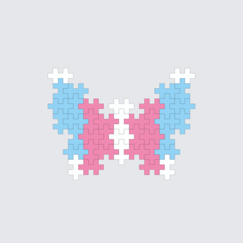 Plus-Plus Butterfly 2D Instructions