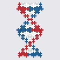 Plus-Plus DNA Model instructions
