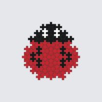 Ladybug