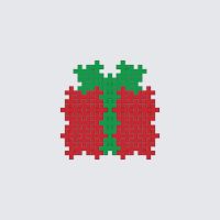 Plus-Plus Present instructions